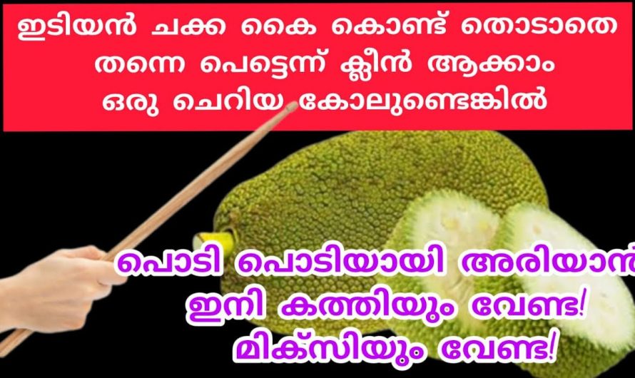 കയ്യിൽ ഒരു തുള്ളി പശ ആകാതെ നിങ്ങൾക്കും ചക്ക മുറിക്കാം