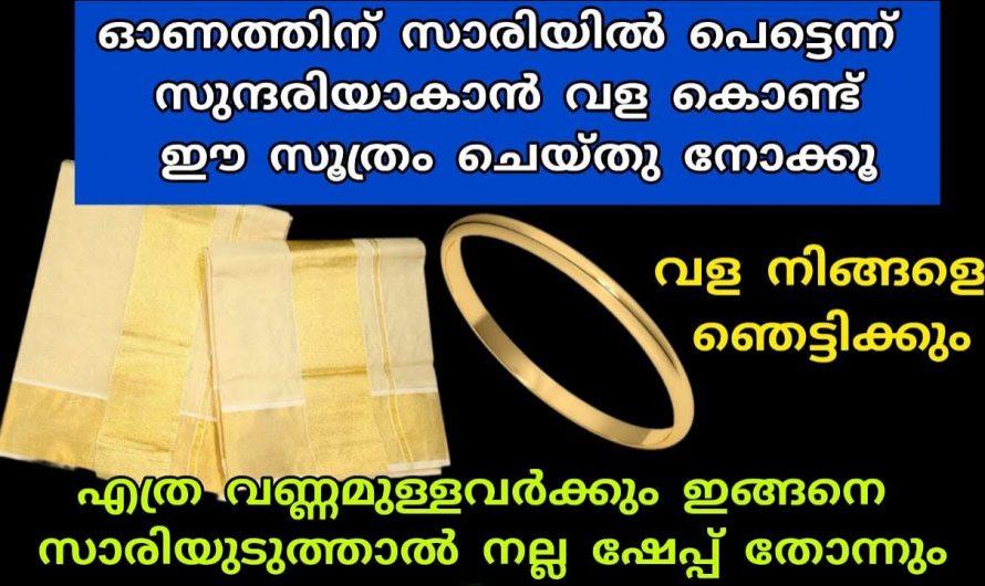 ഇനി ആദ്യമായി സാരി ഉടുക്കുന്നവർക്കും  വളരെ എളുപ്പത്തിൽ മനോഹരമായി സാരി സെറ്റ് ചെയ്യാം