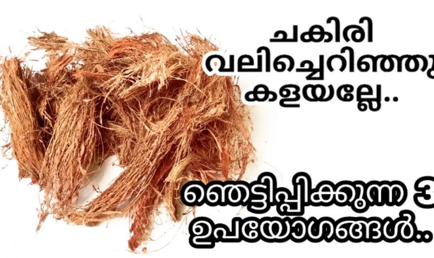 ചകിരി അത്ര നിസ്സാരക്കാരനായി തള്ളിക്കളയരുത്, ഇതൊക്കെ അറിഞ്ഞാൽ നിങ്ങൾ ഇനി ചകിരി സൂക്ഷിച്ചു വയ്ക്കും