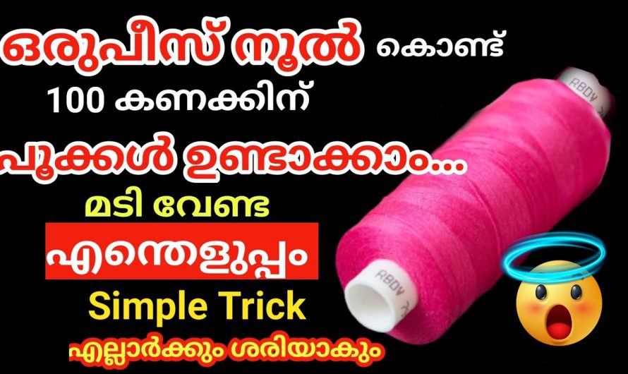 നിങ്ങളുടെ വീട് മുഴുവൻ അലങ്കരിക്കാനുള്ള പൂക്കൾ ഈ ഒരൊറ്റ നൂല് കൊണ്ട് ഉണ്ടാകാം