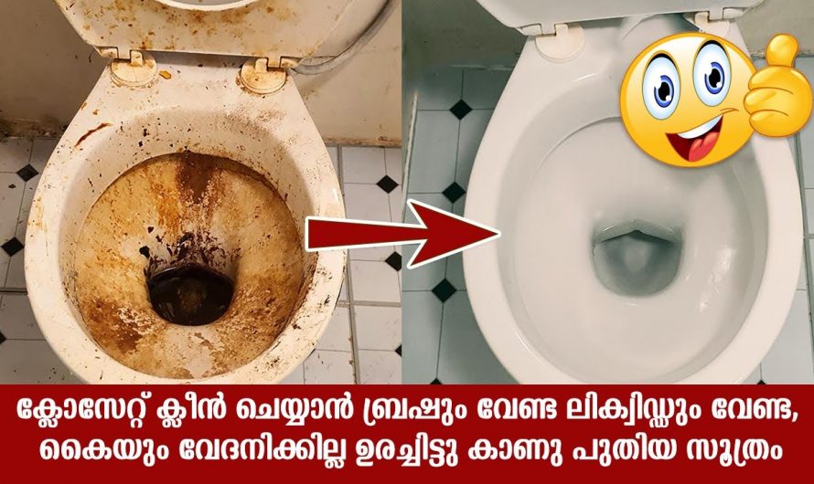 ക്ലോസറ്റ് ക്ലീൻ ചെയ്യാൻ ഇനി ഒരു സാമഗ്രിയും വേണ്ട