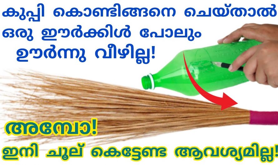 ഒരു പ്ലാസ്റ്റിക് കുപ്പി ഉണ്ടെങ്കിൽ നിങ്ങളുടെ ചുലും സൈഫ് ആക്കാം