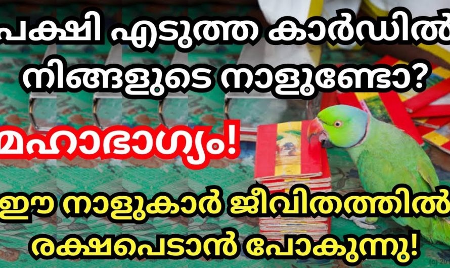 വിധി എഴുതിത്തള്ളിയതെല്ലാം ഇനി സംഭവിക്കാൻ പോകുന്നു