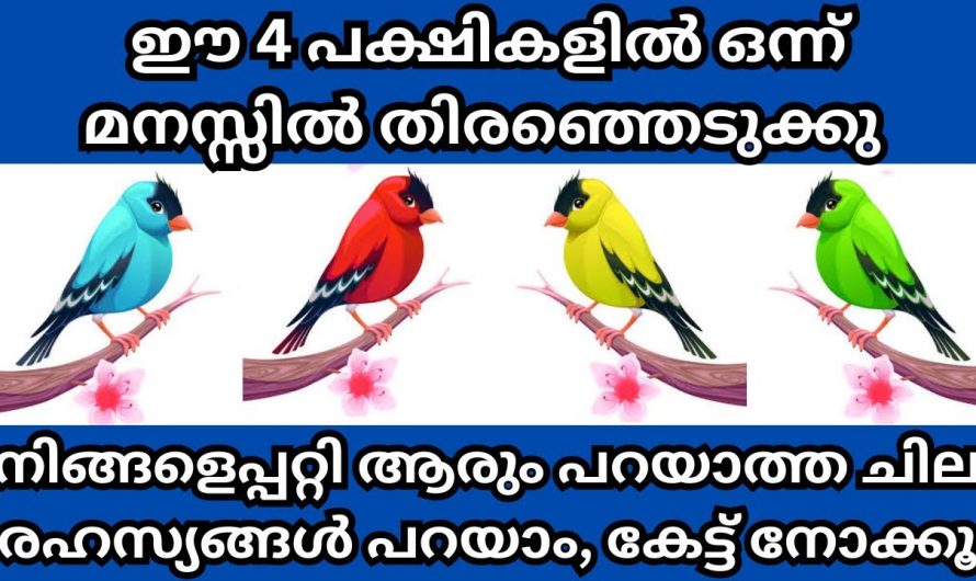 നിങ്ങളുടെ ഭാവി പറയും ഈ നാല് പക്ഷികൾ