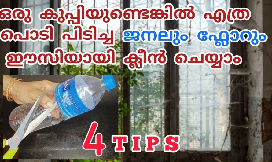 ഒരു പഴയ കുപ്പി മതി എത്ര പൊടി പിടിച്ച വീടും ഇനി വൃത്തിയാക്കാം