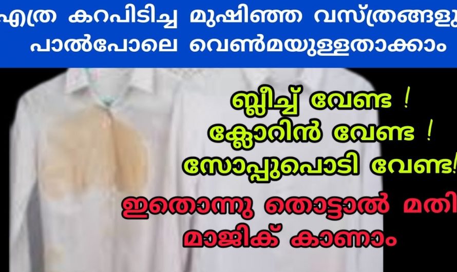 മഞ്ഞൾ കറയും മഷിക്കറയും മാറ്റാൻ ഇതാ ഒരു കിടിലൻ ടിപ്പ്