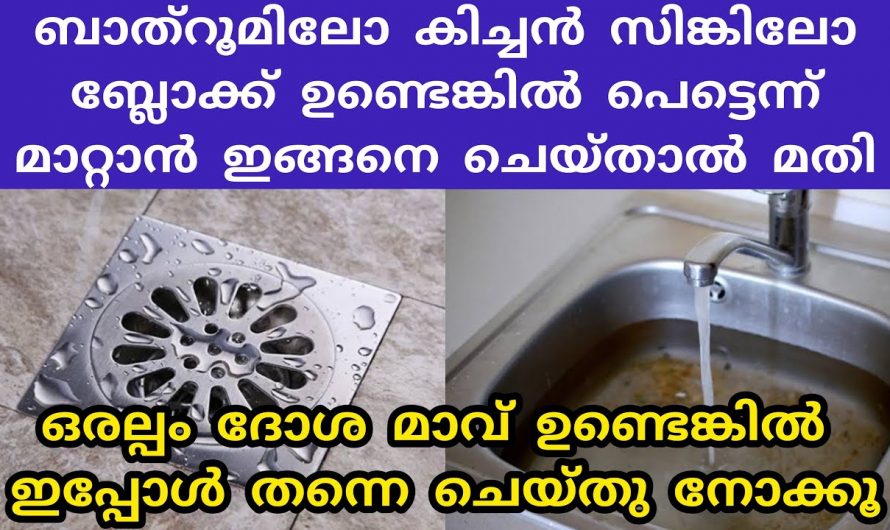 ഇനി പുളിച്ച ദോശ മാവ് കളയണ്ട ഇങ്ങനെ ചെയ്യാം