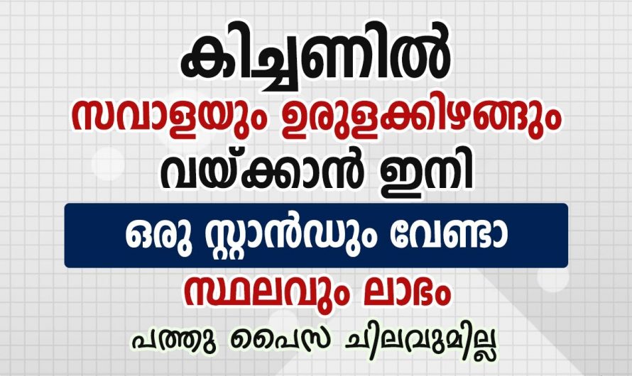 സ്ഥലവും ലഭിക്കാം വൃത്തിയായും സൂക്ഷിക്കാം ഇനി സബോളയും ഉരുളക്കിഴങ്ങും ഇങ്ങനെ ചെയ്യു