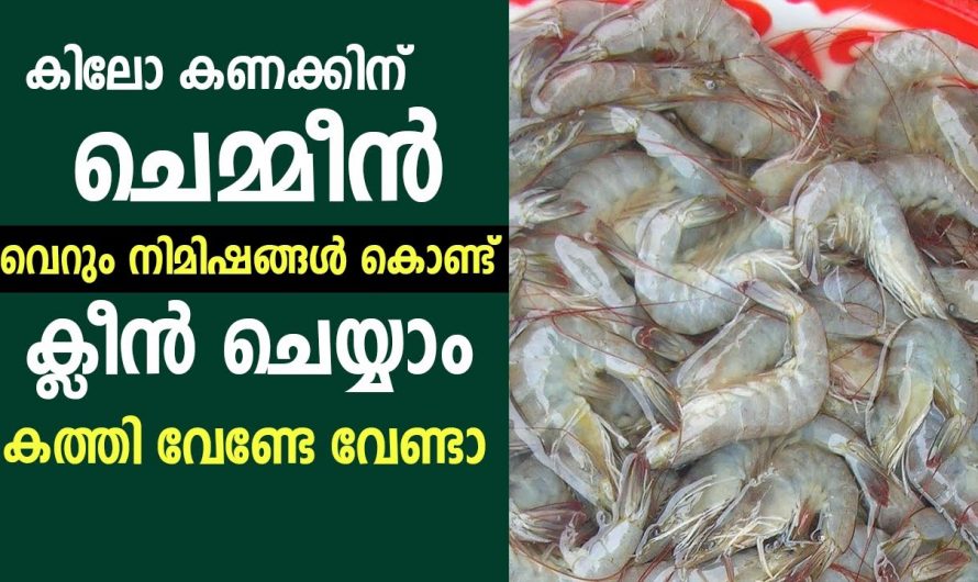 ഇനി കിലോ കണക്കിന് ചെമ്മീൻ സിമ്പിൾ ആയി ക്ലീൻ ചെയ്യാം