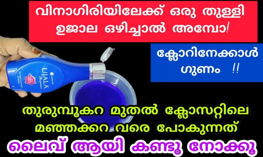 വസ്ത്രങ്ങളിൽ മാത്രമല്ല ഇനി ഉജാല ഇങ്ങനെയും ഉപയോഗിക്കാം എന്ന് പറഞ്ഞാൽ പലരും അതിശയിക്കും