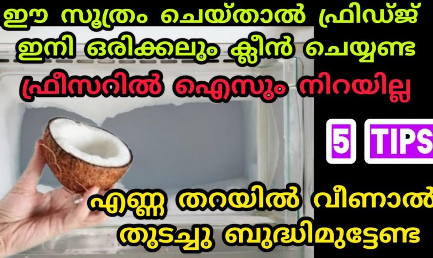 ഇങ്ങനെയാണെങ്കിൽ ഇനി ഫ്രിഡ്ജ് ക്ലീൻ ചെയ്യുകയേ വേണ്ട