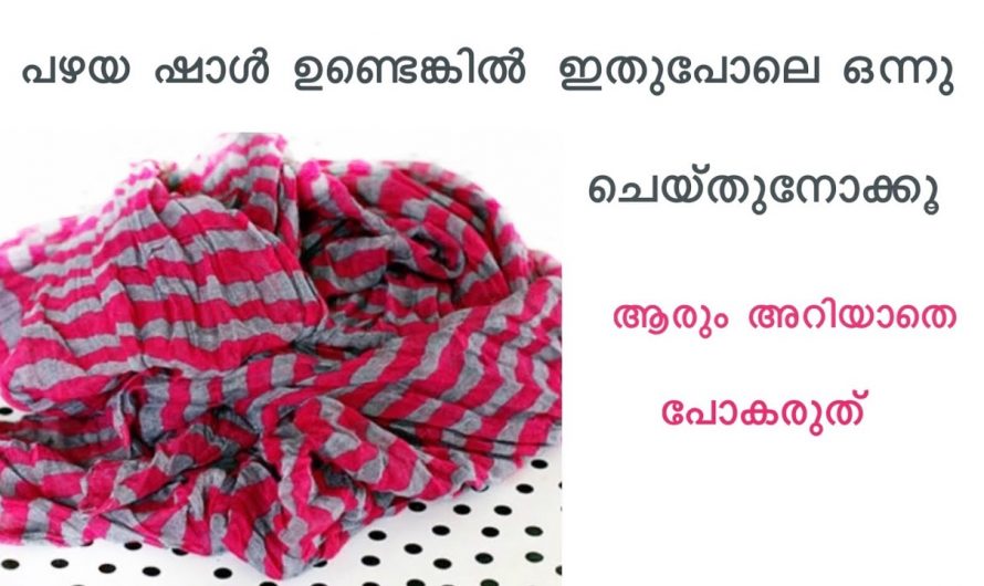 പഴയ ഷോൾ കൊണ്ട് ആരും ഇതുവരെ ചെയ്യാത്ത ഒരു അത്ഭുത വിദ്യ