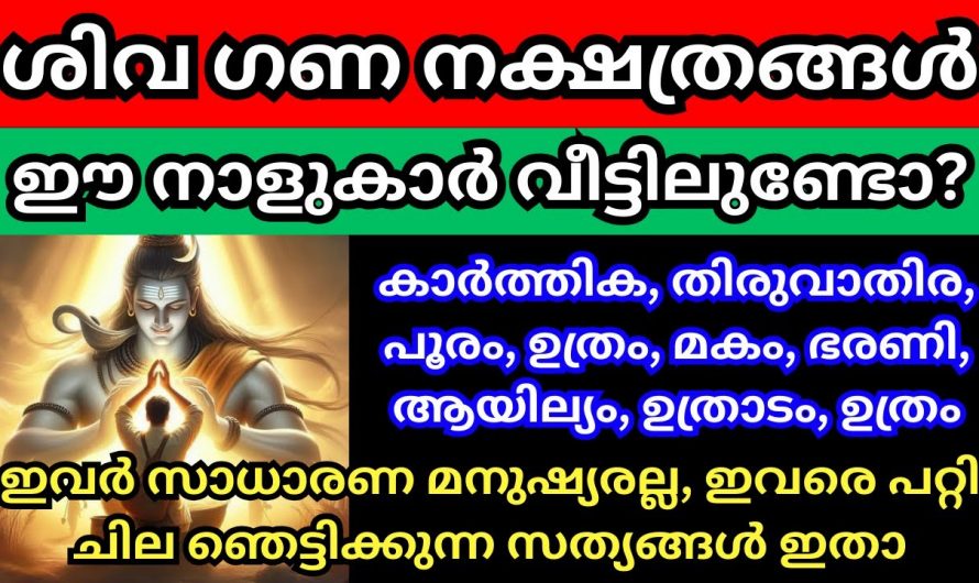 ലോകം ഇവരെ അറിയാൻ വൈകിയിരിക്കുന്നു ഈ ശിവനക്ഷത്രങ്ങൾ നിങ്ങളുടെ വീട്ടിലുണ്ടോ