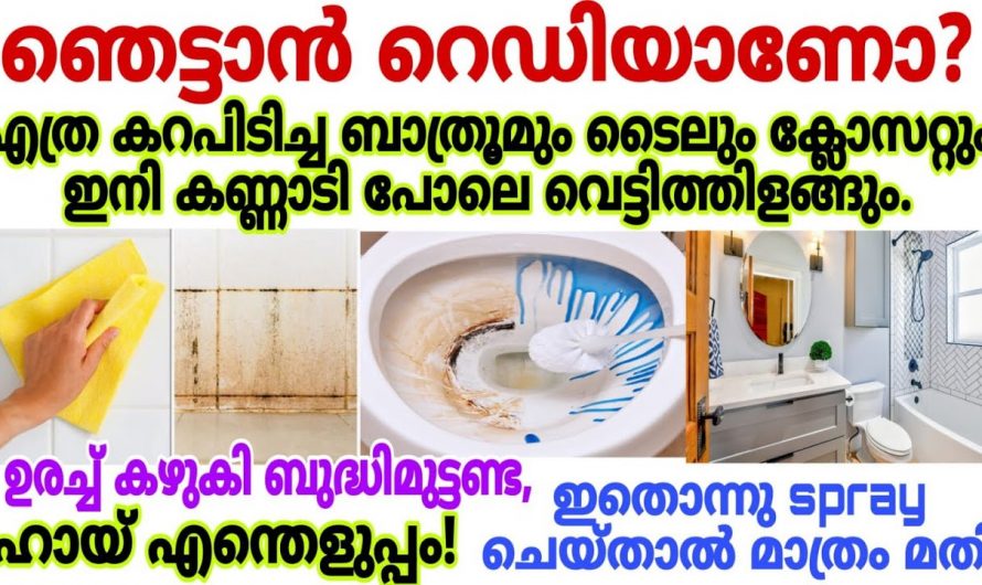 ഏത് പറ്റിപ്പിടിച്ച കറയും നിമിഷങ്ങൾ കൊണ്ട് ഇല്ലാതാക്കാം