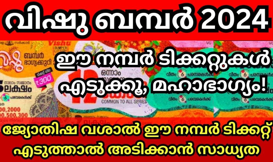 അടിക്കും എന്ന കാര്യത്തിൽ സംശയം വേണ്ട, എടുക്കുന്ന ലോട്ടറി ഈ നമ്പർ ഉണ്ടോ എന്ന് നോക്കൂ