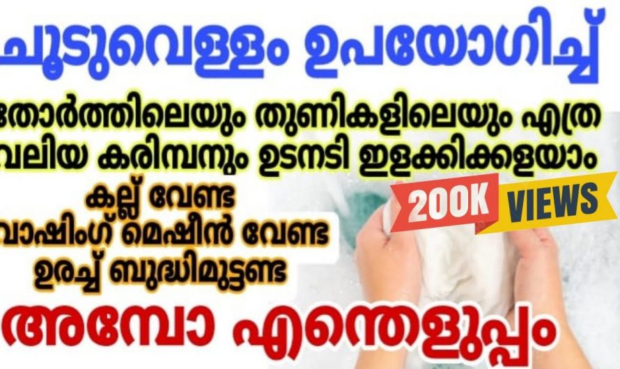 വെറും രണ്ട് മിനിറ്റ് കൊണ്ട് ഇനി ഏത് വസ്തുവും അലക്കാതെ വെളുപ്പിക്കാം