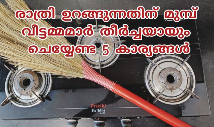 ഒരു വീട്ടമ്മ ഉറപ്പായും രാത്രിയിൽ ചെയ്തിരിക്കേണ്ട കാര്യം