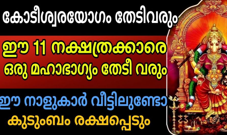 ഈ 11 നക്ഷത്രക്കാരാണ് എങ്കിൽ രക്ഷപ്പെടുമെന്ന കാര്യത്തിൽ സംശയം വേണ്ട