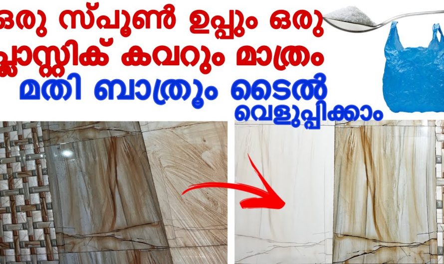 കയ്യിൽ ഒരു പ്ലാസ്റ്റിക് കവർ ഉണ്ട് എങ്കിൽ നിങ്ങളുടെ ബാത്റൂമിന്റെ വൃത്തി ഉറപ്പാണ്