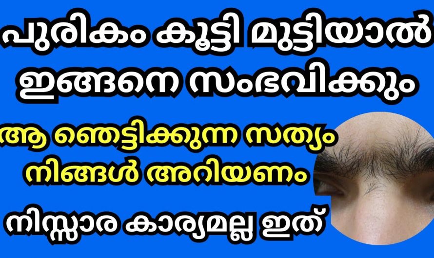 ഇങ്ങനെ ഒരു പുരികം നിങ്ങളുടെ വീട്ടിലുള്ളവർക്ക് ഉണ്ടോ, കൂട്ടിമുട്ടിയ പുരികം ഉള്ളവർ ഇത് കേൾക്കു