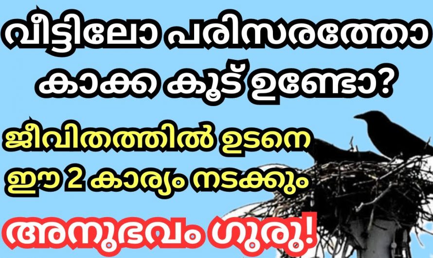 മൃഗങ്ങൾ അത് വളർത്തുന്നതായാലും അല്ലെങ്കിലും ഇവിടെ കൂടുണ്ടാക്കിയാൽ സർവ്വനാശം