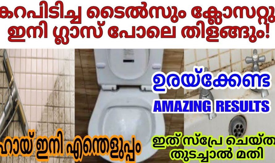 കൈകൊണ്ട് തൊടുക പോലും വേണ്ട നിങ്ങളുടെ ടോയ്ലറ്റ് ഇനി എപ്പോഴും ഫ്രഷ് ആയിരിക്കും