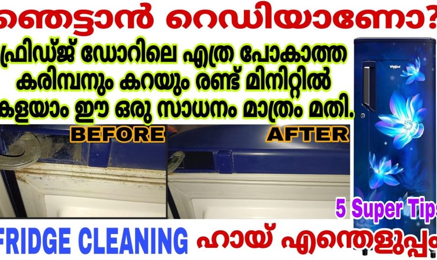 നിങ്ങൾ ഞെട്ടും എന്ന കാര്യത്തിൽ ഒരു സംശയവും വേണ്ട