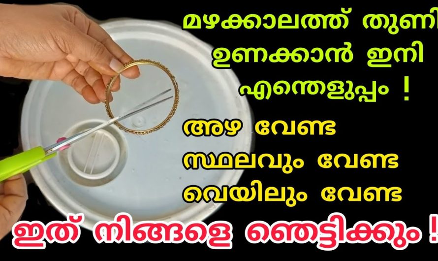 ഒരിക്കലും ഉപയോഗിക്കാത്ത ഇതാണ് നിങ്ങളെ ഇനി ഈ മഴക്കാലത്ത് സഹായിക്കുക