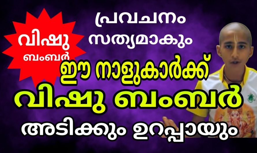 പ്രതീക്ഷകൾ എല്ലാം പൂവിടും പ്രതീക്ഷിക്കാത്ത പലതും സംഭവിക്കും നിങ്ങൾക്കും ഇനി അങ്ങോട്ട് ഭാഗ്യമാണ്