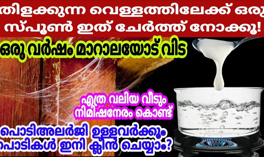 പപ്പടം ഇങ്ങനെ ഇഡലി മാവിൽ ഇട്ടാൽ സംഭവിക്കുന്നത്