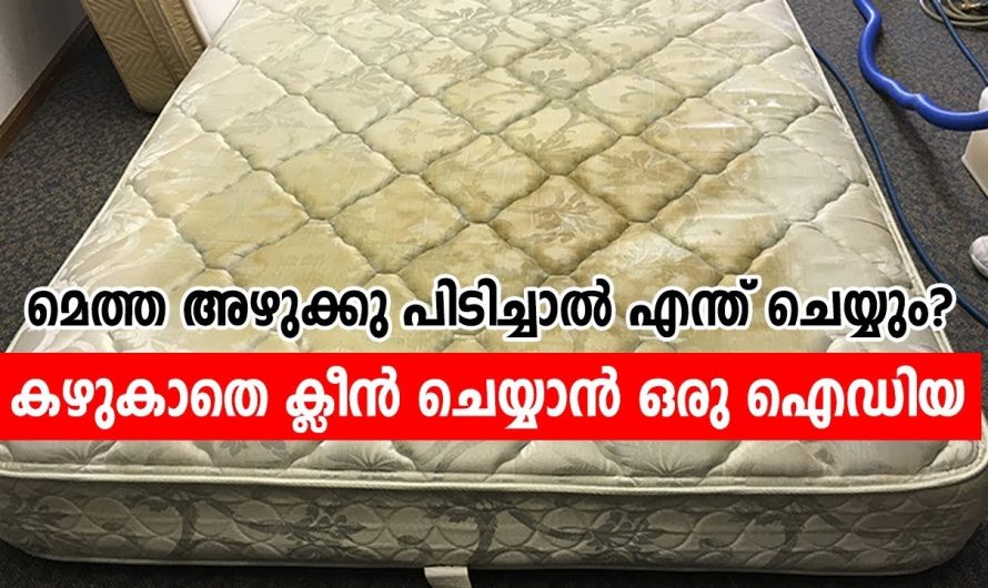 അലക്കുന്നതിനേക്കാൾ എളുപ്പത്തിൽ ഇനി കിടക്ക വൃത്തിയാക്കാൻ ഇങ്ങനെ ചെയ്യാം