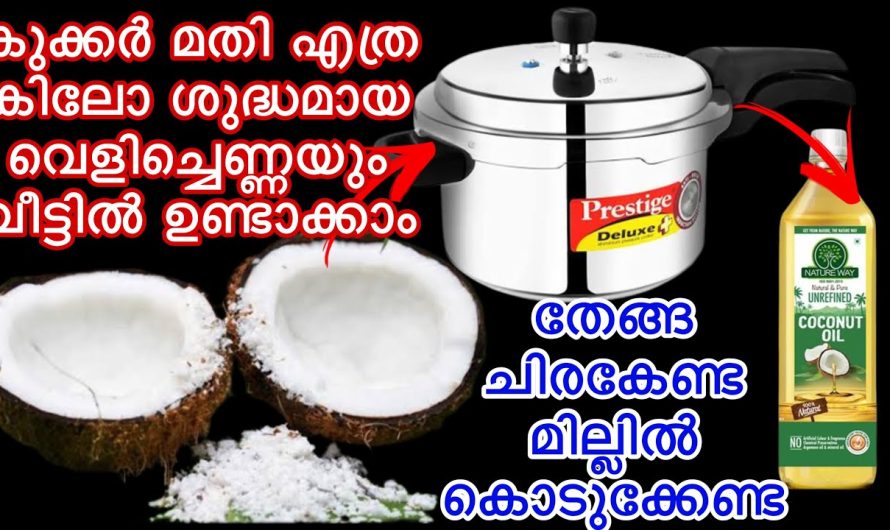 ശുദ്ധമായ വെളിച്ചെണ്ണ ഉണ്ടാക്കാൻ ഇനി ഒരു കുക്കർ മാത്രം മതി