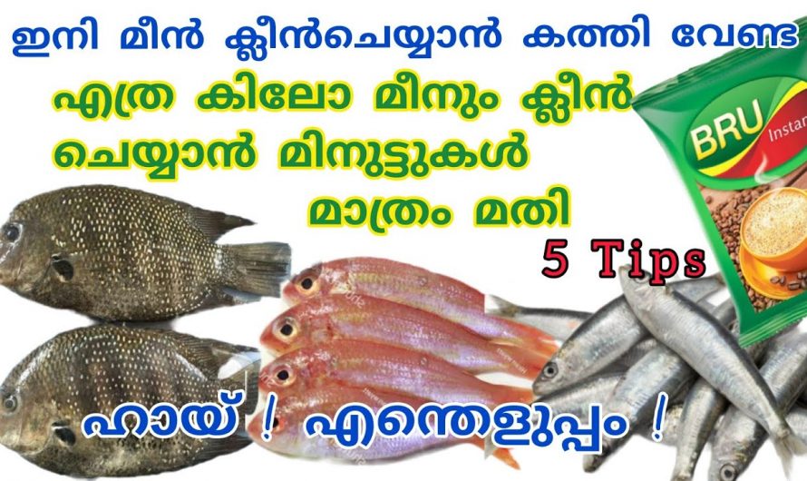 എത്ര കിലോ ചാള വറുത്താലും ഇനി വീടിനകത്ത് ഒരു മണം പോലും വരില്ല