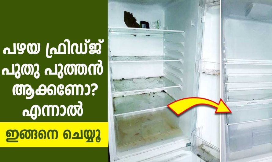 ഇനി ഇലക്ട്രോണിക് ഉപകരണങ്ങളെല്ലാം പുതുപുത്തൻ ആക്കാൻ ഒരു സ്പൂൺ മതി