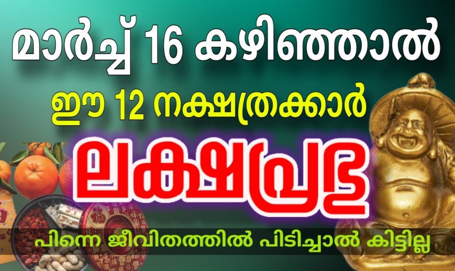 30 വർഷത്തിനുശേഷം വന്നുചേരുന്ന ഒരു പ്രത്യേക സൗഭാഗ്യം