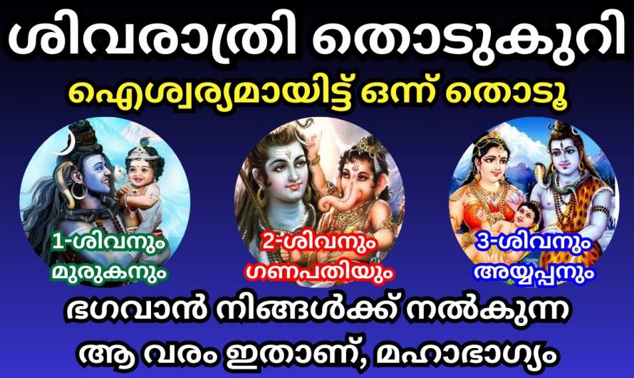 ഈ ശിവ ദേവന്റെ ചിത്രങ്ങളാണ് ഇന്നത്തെ നിങ്ങളുടെ തൊടുകുറി