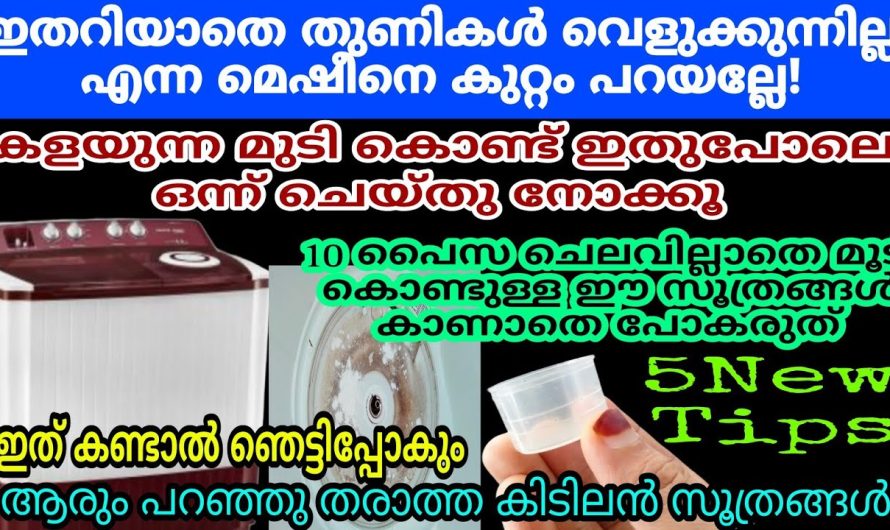 അപ്പോൾ ഇതായിരുന്നു വാഷിംഗ് മെഷീന്റെ അകത്ത് ഇങ്ങനെയാകാനുള്ള കാരണം