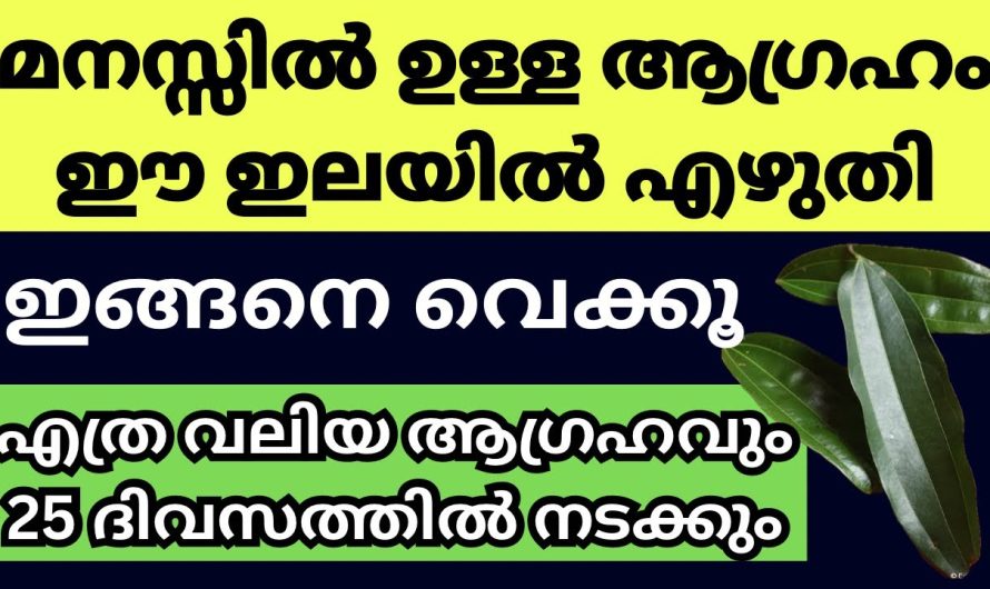 ഇടിമുഴക്കം പോലെ ശക്തിയുള്ള ഈ മന്ത്രം നടത്തും നിങ്ങളുടെ ആഗ്രഹം