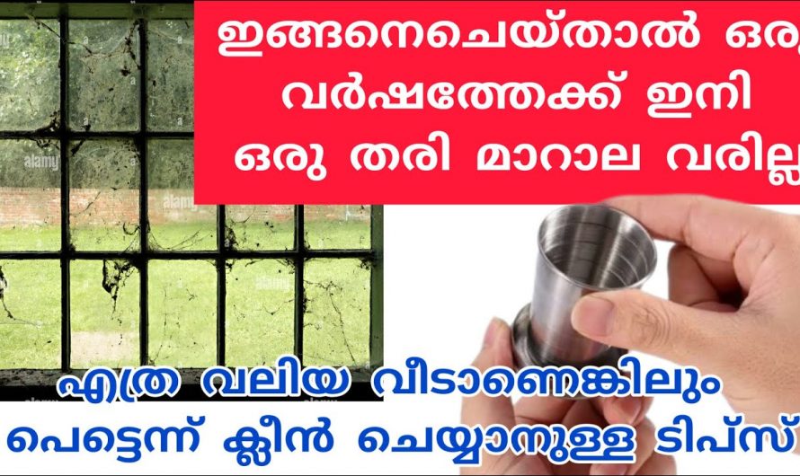 ഒരു തുള്ളി മണ്ണെണ്ണ ഉണ്ടോ, ഇനി നിങ്ങളുടെ വീട്ടിൽ മാറാലയും വരില്ല ചിതലും വരില്ല