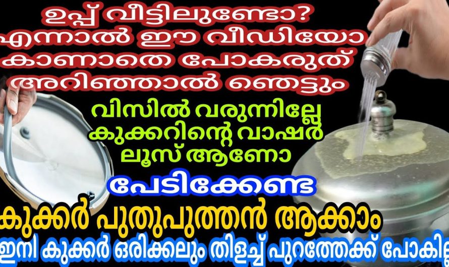 കുറച്ച് ഉപ്പും മൊട്ടത്തൊണ്ടും ഉണ്ടെങ്കിൽ ഇനി അടുക്കള എപ്പോഴും ക്ലീൻ