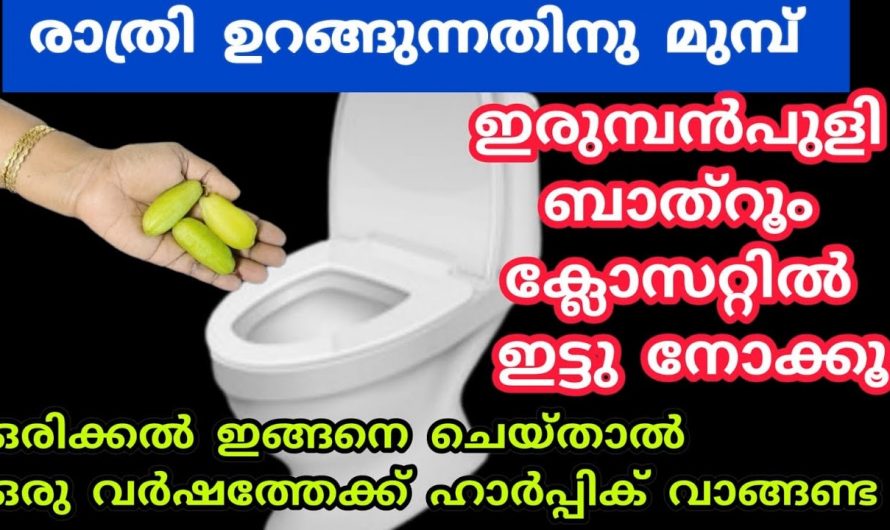 ഏത് സീസണിലും ഇരുമ്പൻപുളി ഉപയോഗിച്ച് നിങ്ങൾക്കും   ഏത് പോകാത്ത കറയും കളയാം