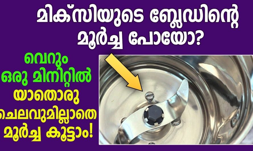 ഒറ്റ മിനിറ്റുകൊണ്ട് തൊട്ടാൽ മുറിയുന്ന മൂർച്ചയാക്കാം മിക്സി ജാർ