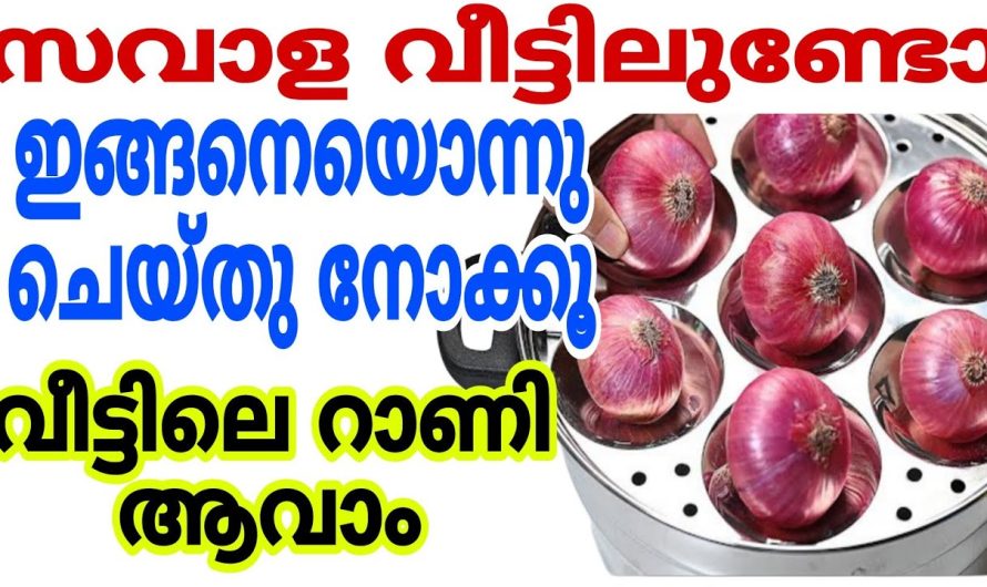 സവാള ഇഡ്ഡലി ചെമ്പിൽ ഇട്ടാൽ സംഭവിക്കുന്നത് കാണണോ