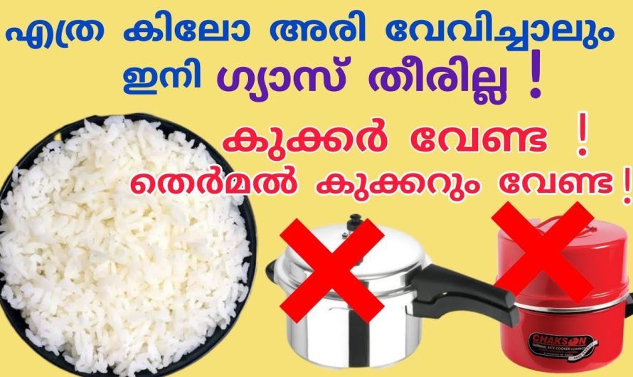 ഇനി അടുപ്പിൽ ഒരു കഷ്ടപ്പെടേണ്ട ചോറ് വേവിക്കാൻ വളരെ എളുപ്പം