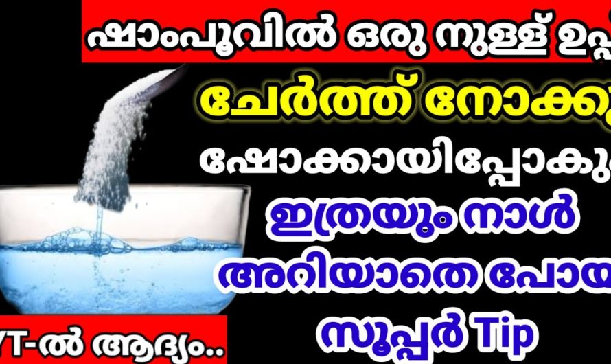 ഒരു നുള്ള് ഉപ്പിട്ട് കലക്കിയാൽ ഷാമ്പുവിൽ സംഭവിക്കുന്നത്