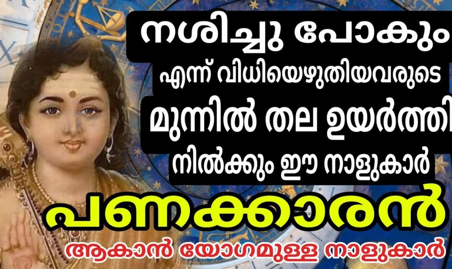 ചെങ്കോലും കിരീടവും ഇല്ലെങ്കിലും നിങ്ങളെ കളിയാക്കിയവർക്ക് മുമ്പിൽ ഇനി നിങ്ങൾ രാജാവ്