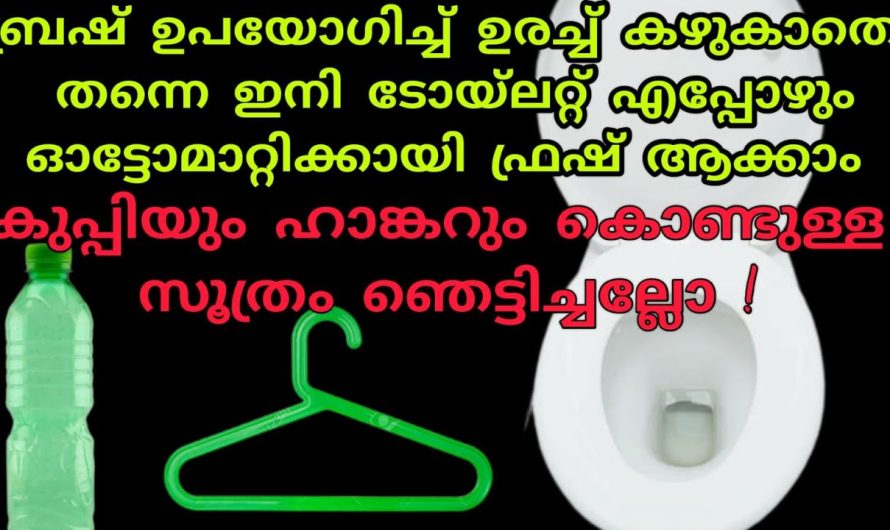 ഇനി നിങ്ങളുടെ ക്ലോസറ്റ് ഓട്ടോമാറ്റിക്കായി വൃത്തിയാകും