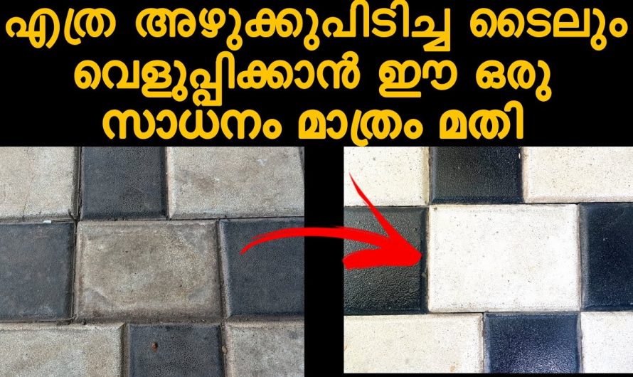 മുറ്റത്തെ ടൈലിൽ ഇനി ഒരുതരി അഴുക്കു പിടിക്കില്ല