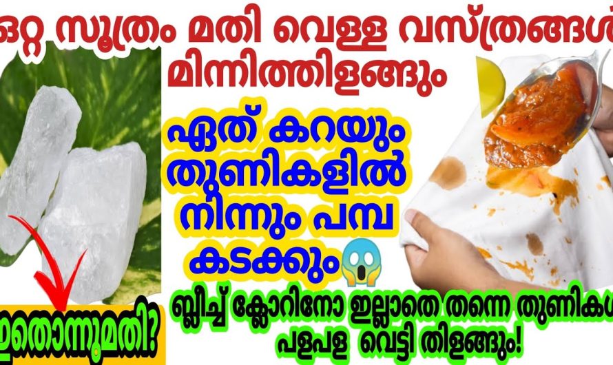 വികൃതി കുട്ടികളെ ഇനി തടയേണ്ട അവർ അഴുക്ക് ആക്കിക്കോട്ടെ