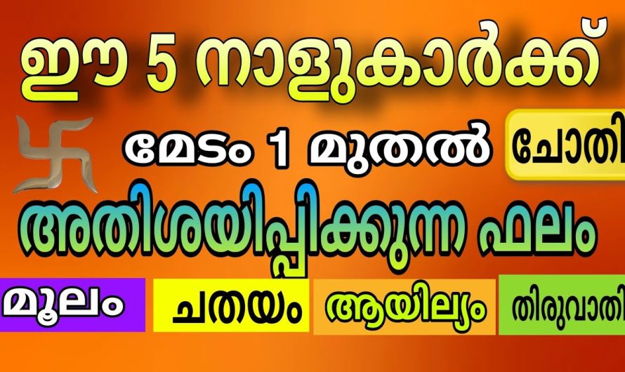 റൂട്ട് മുഴുവൻ ഇനി ക്ലിയർ ആകും നിങ്ങൾക്കും വലിയ ഉയർച്ച സാധ്യമാണ്